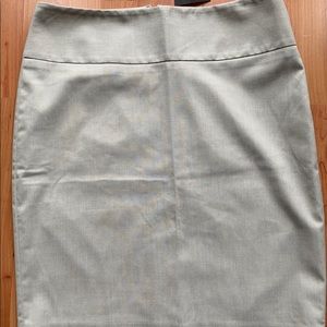 NWT Skirt
